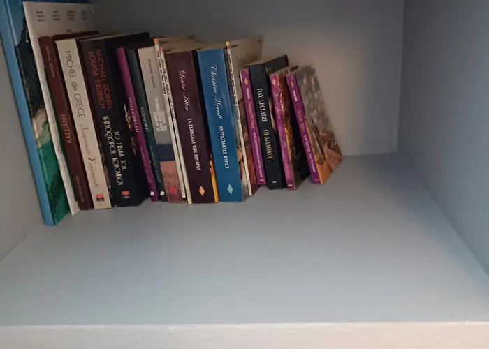 Vintage Apartament *